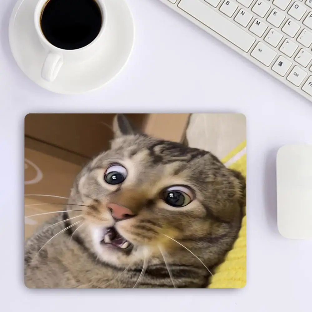 Table Mat Funny Expression Tabby Cat Surprise Open Mouth Design For Laptop Bedroom Learning Large Size Pad
