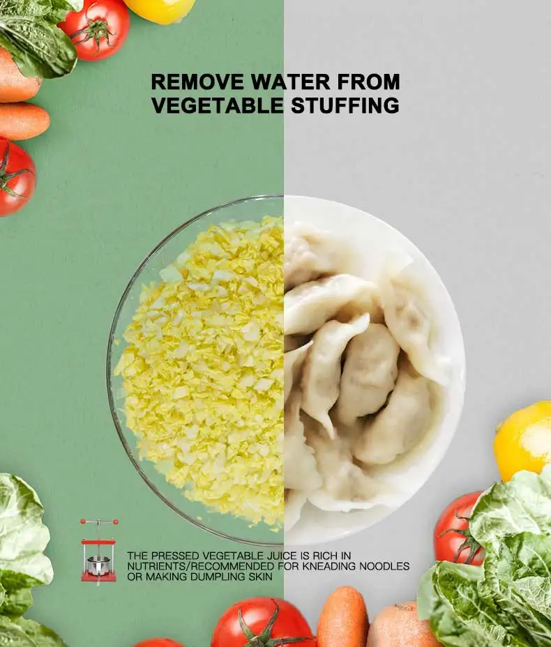 2025 Household Small Stainless Steel Juice Wine Press Manual Grape Press