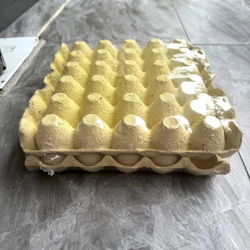 Customized Automatic L Sealer POF Film Shrink Wrapping Machine for Egg Tray Fruit Tray Packaging Equipment