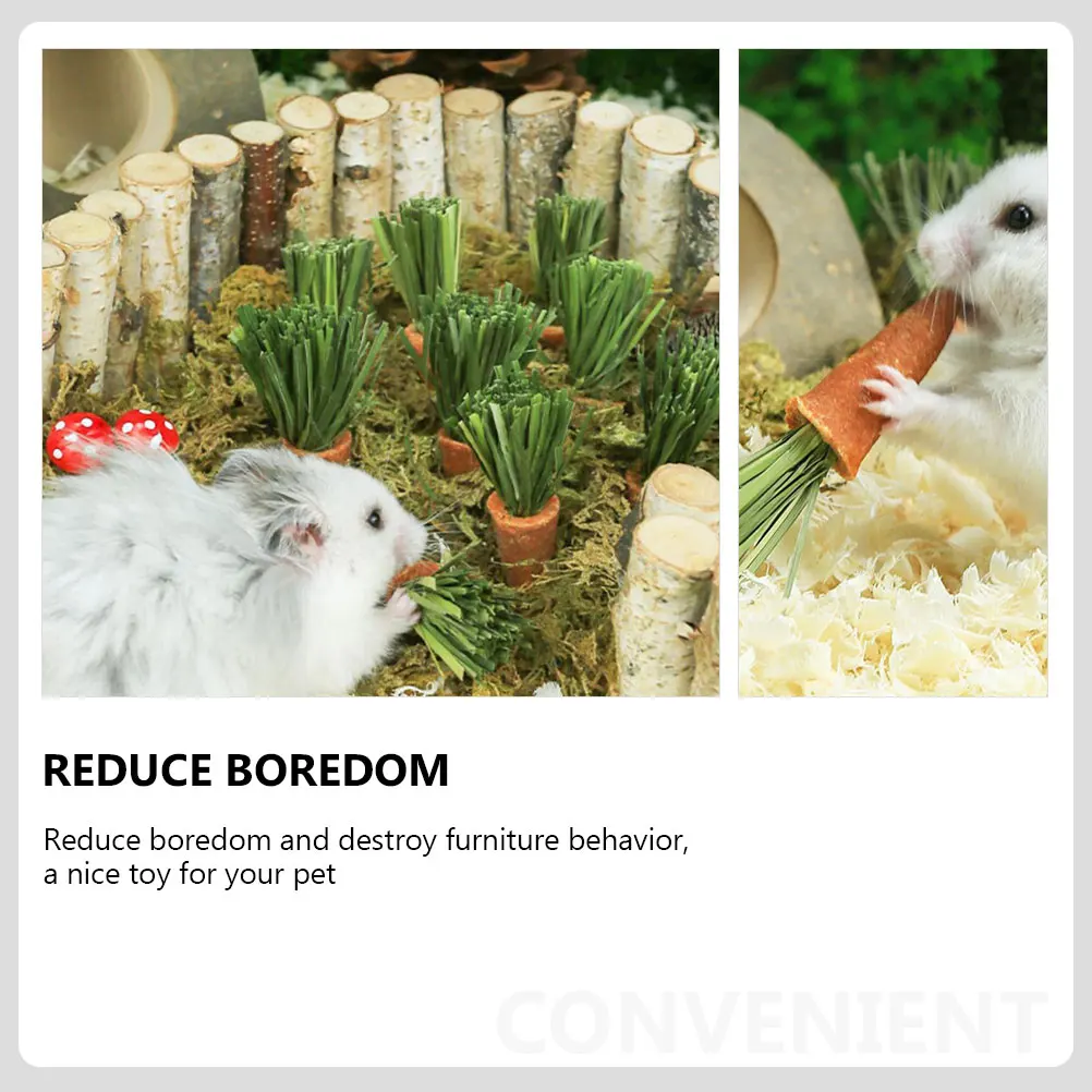 

Carrot Teething Sticks Animal Chew Hamster Carrots Bunny Chewing Rabbit Chews