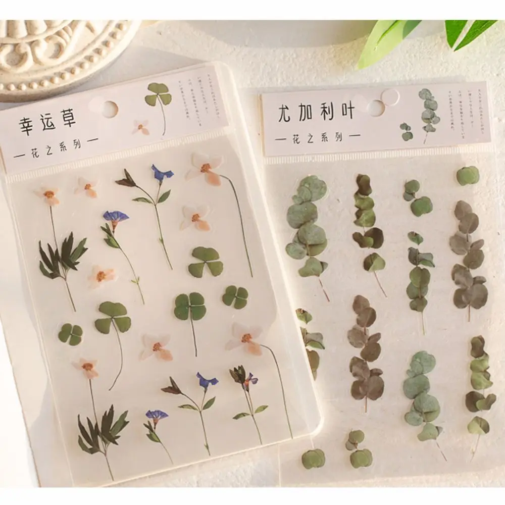 PET Natural Plants Daisy Flowers Leaves Sticker Transparent  Sticker Daisy Sticker Clover Handbook Sticker Deco Sticker