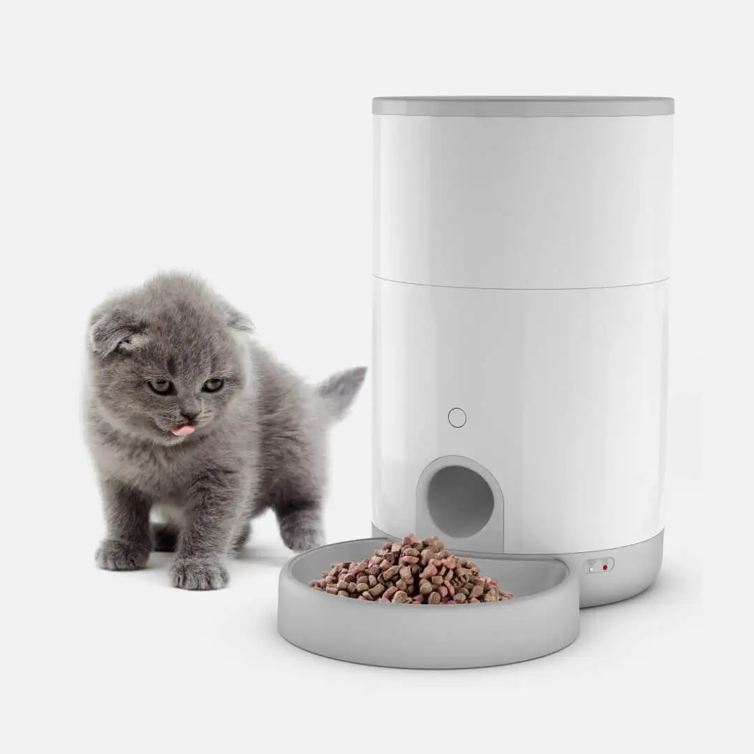 Smart Cat Feeder Wifi Mobile Phone App Remote Control Dog Food Dispenser Microchip Automatic Pet Feeder accessories supplies