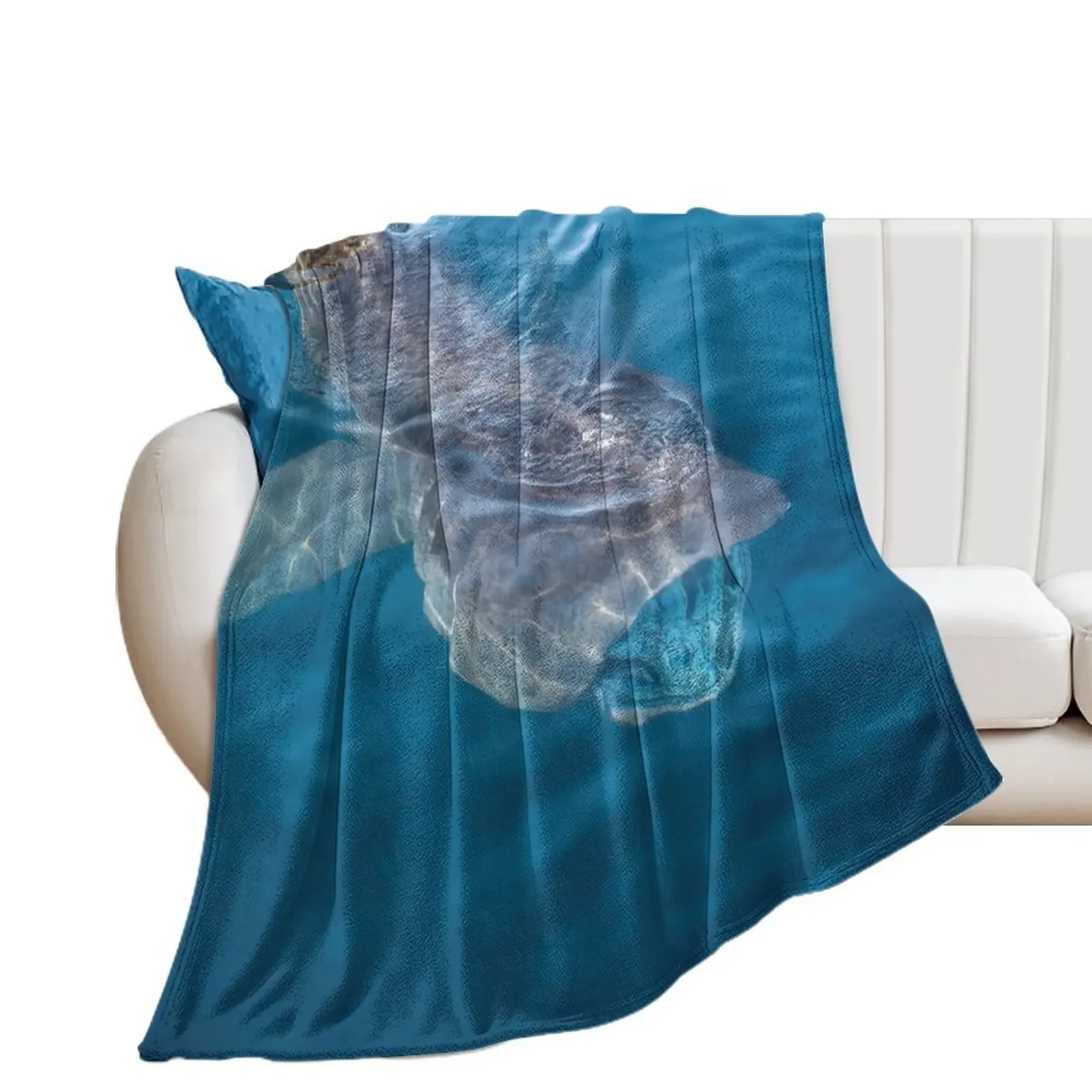 Basking Shark, West Cork, Ireland Throw Blanket Blankets For Bed Extra Large Throw Single Thermals For Travel Blankets