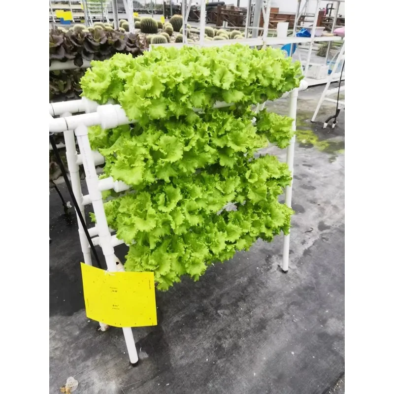 Indoor Hydroponic NFT System Planting Vegetables Double Sides