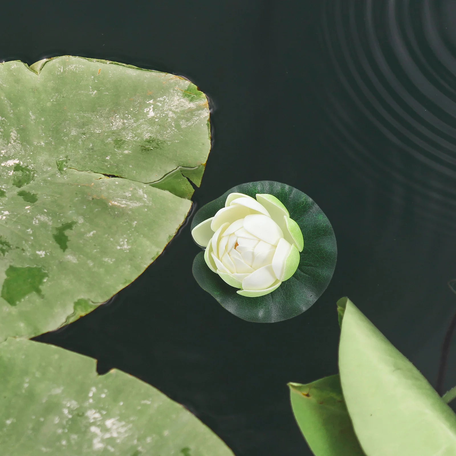 

5pcs Artificial Floating Water Lily Flowers Realistic Plants Decorations Fish Tank Pool Fade Resistant Soft Petals Easy Install