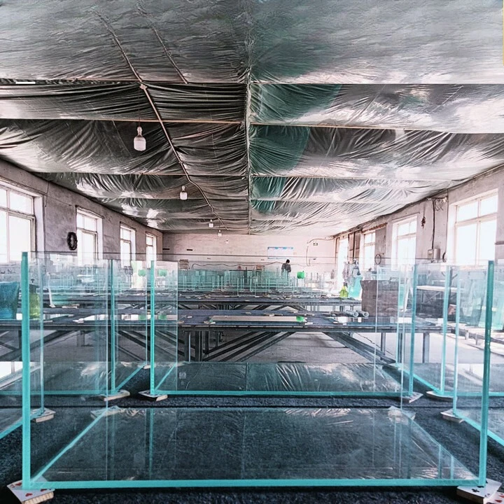 تيار خزان الأسماك الزجاجي الأبيض للغاية من الكريستال الذهبي، نبات مائي مستطيل كبير ومتوسط وصغير