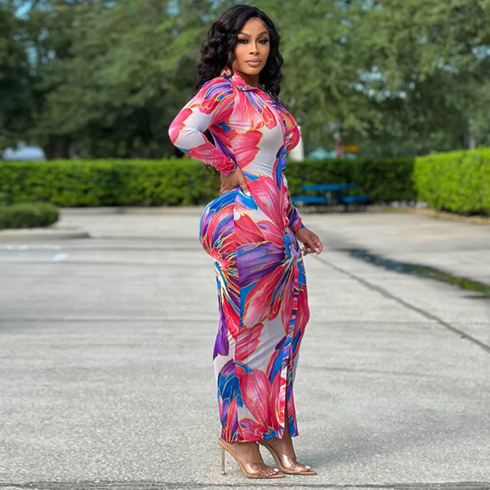2024 primavera stampato abito lungo donna elegante scollo a v manica lunga partito Maxi vestito estate Skinny Boho abiti