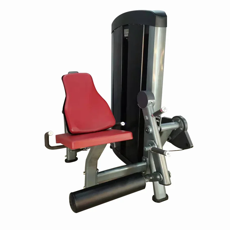 

Multi-Functional Integrated Gym Equipment Steel Sit-Up Leg Extension Trainer for Indoor Use