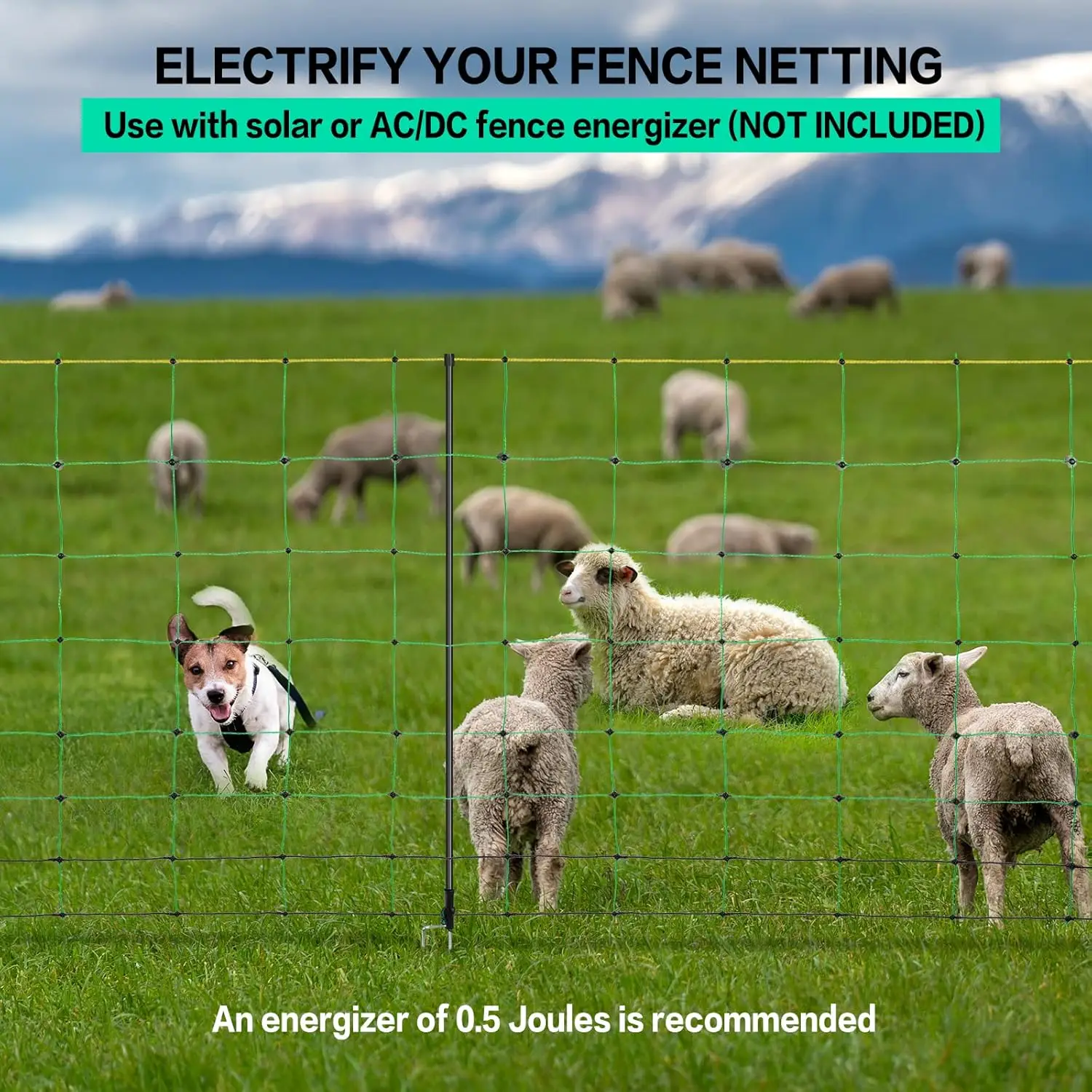 Electric Fence Netting 49.6" H x 164' L, PE Mesh Kit with Posts for Sheep Goats Deer Dogs