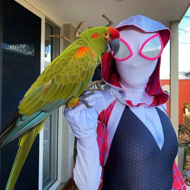 AA wat Cafele Stacy Spider Gwen Cosplay Costumes for Women Kids Jumpsuits Halloween Party Props Costume Detach2025 New