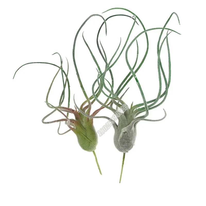 Artificial Flocking Fake Bromeliads Air Plants Hanging Simulation Tillandsia Plants For Home Wedding Party Flower Decoration