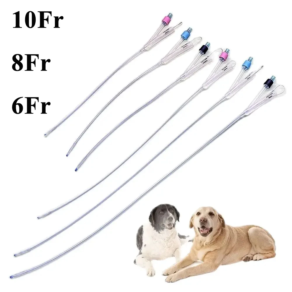 12PCS Pet Canine Dog Indwelling Urinary Catheters Silicone Foley 2 Ways SS Stylet Probe Self-retaining With Balloon Clinic Tool