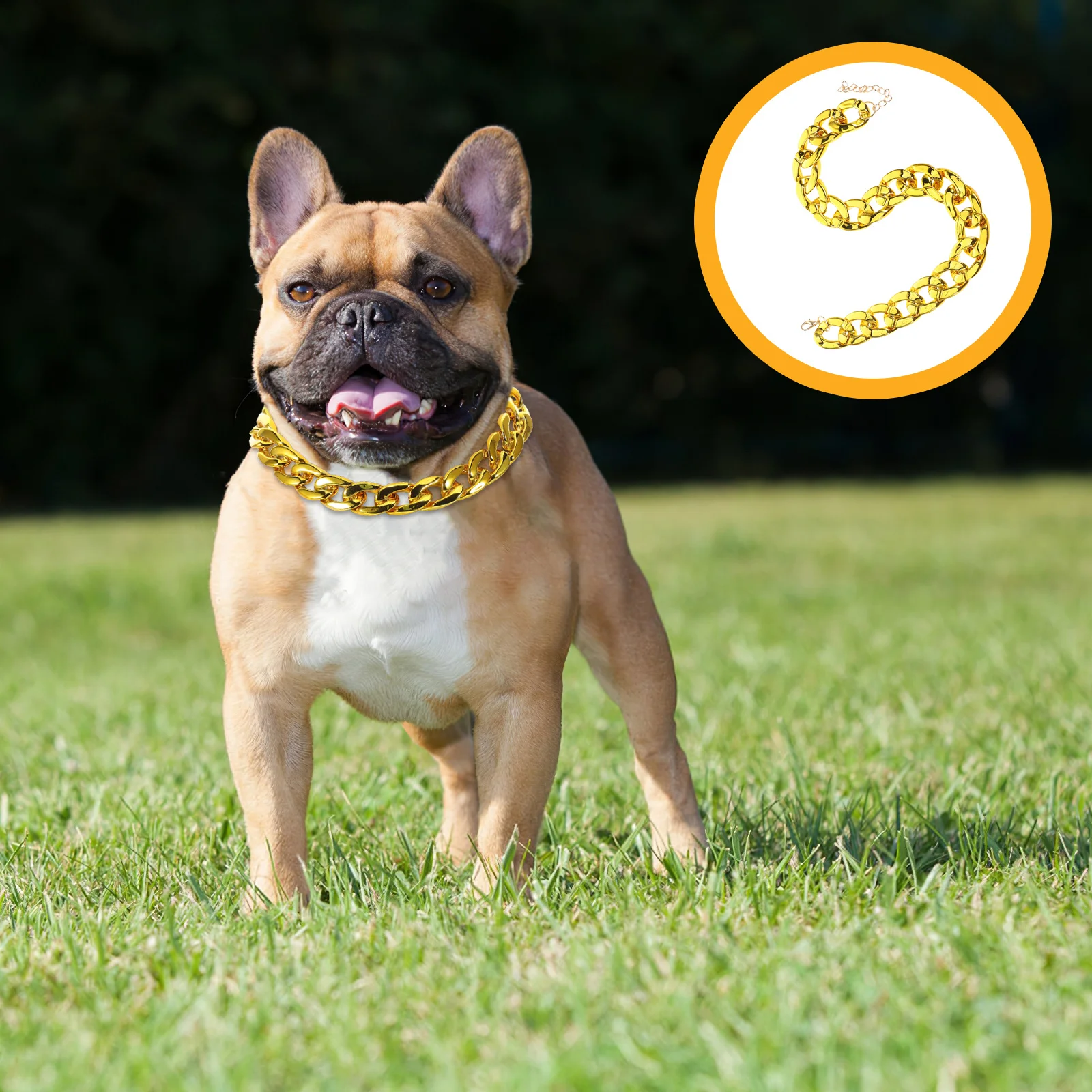 

Golden Chain Necklace For Dogs Cats Small Pets Fashion Jewelry Cool Pendant Accessory Party Costume Photo Prop Gift Pet Jewelry