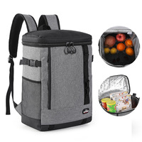 20L Portable Thermal Lunch Bag Food Box Durable Waterproof Cooler Ice Insulated Case Camping Oxford Dinner Backpacks Icebox 가방