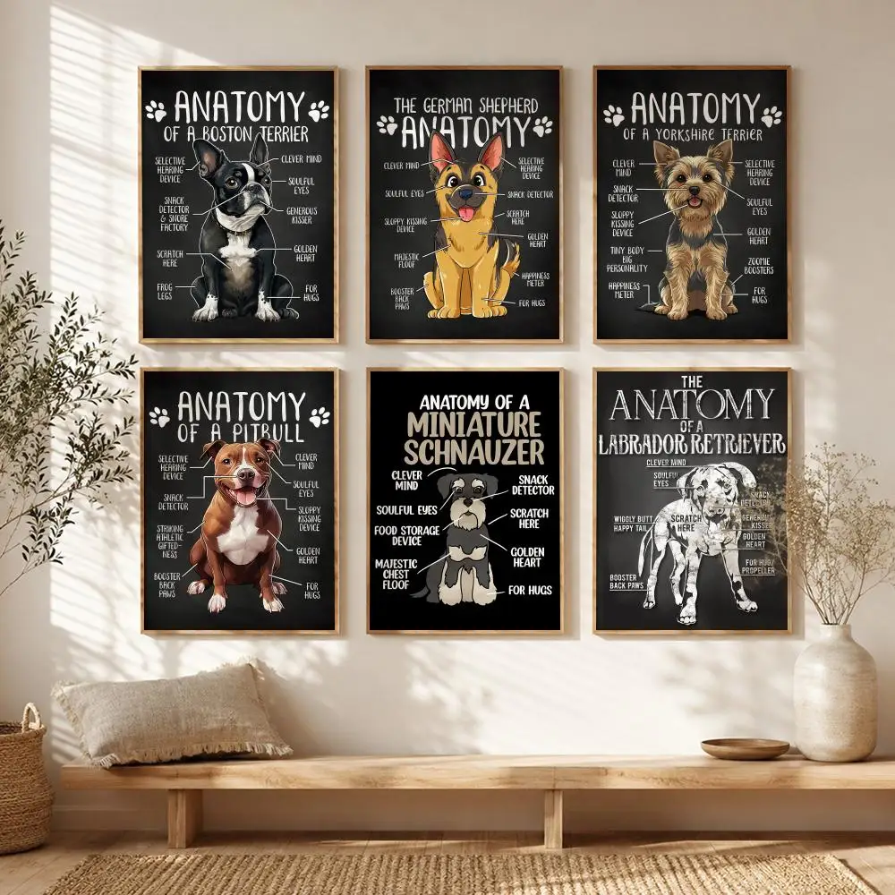 Anatomy of Animal DOG Poster All-match HD Waterproof Self-Adhesive Wall Art Sticker For Home Bedroom