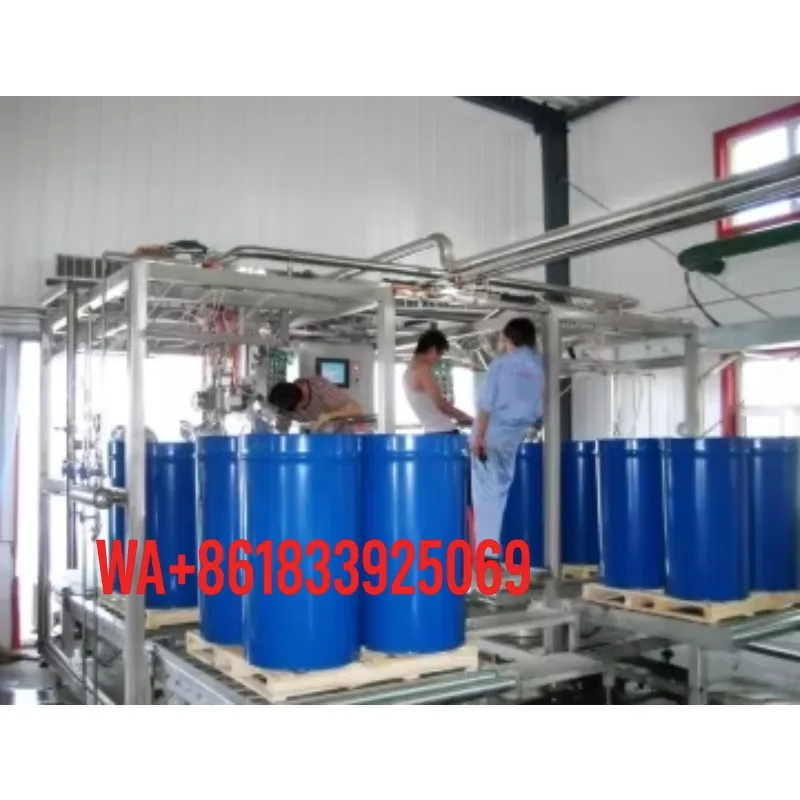 Raspberry Processing Line Automated Production System for Juice Beverage Puree Washing Crushing Enzyme Treatment Filtration