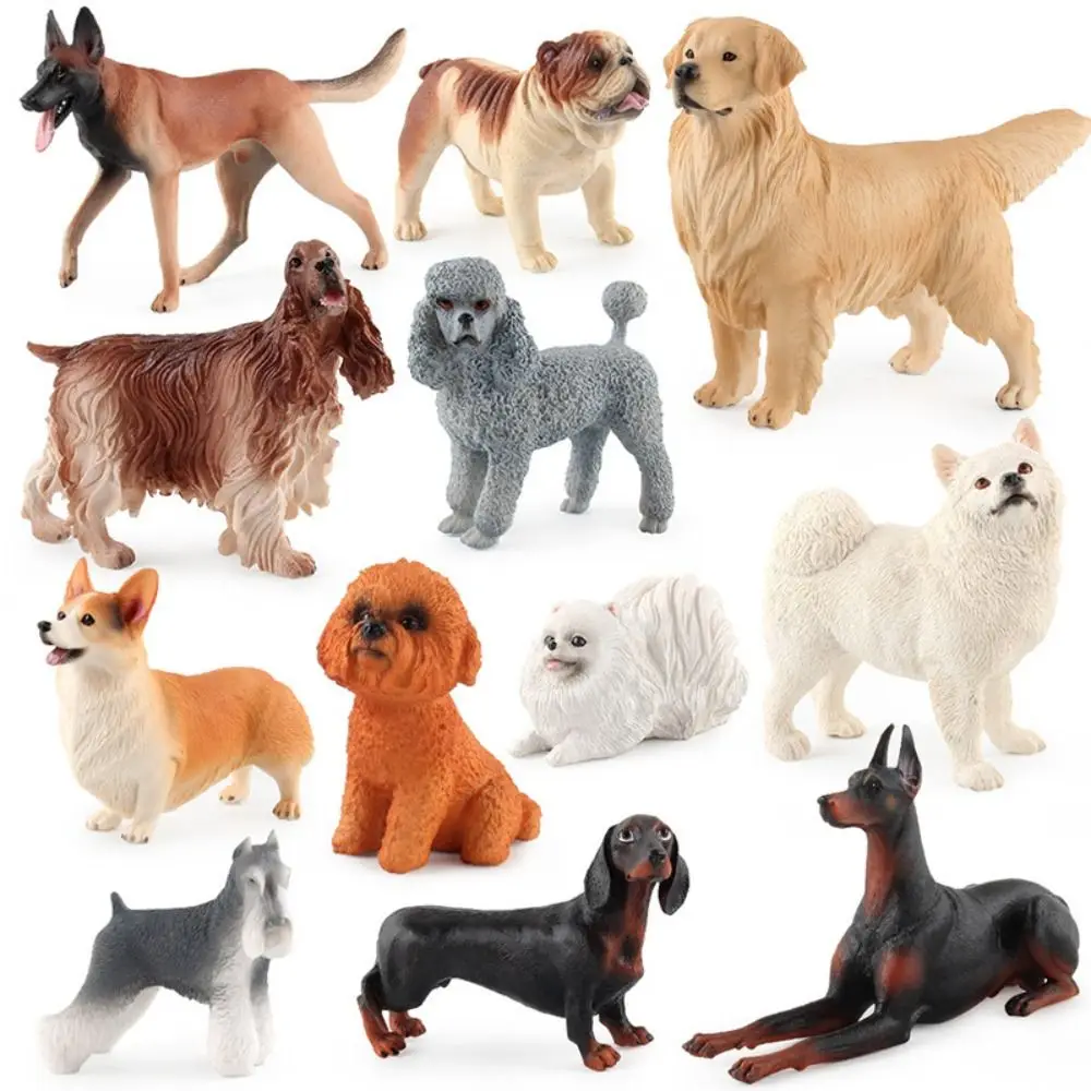 Giocattoli per bambini Simulazione Figurina di cane Realistico Solido Modello animale in miniatura Samoiedo Labrador Decorazione del giardino delle fate