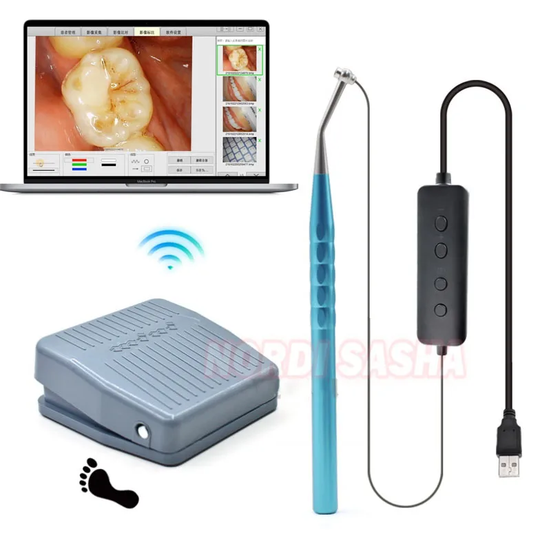 1 Set Dental Micro Intra-Oral Camera 24 Inch Screen Real Time Wifi Visual Root Canal Removal/ Mouth Mirror/Endo Motor