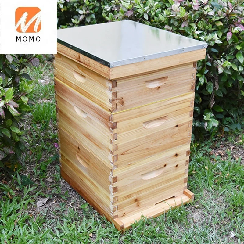 beekeeping beehive 10 frames Langstroth 3 layers wax coated bee hives complete kits