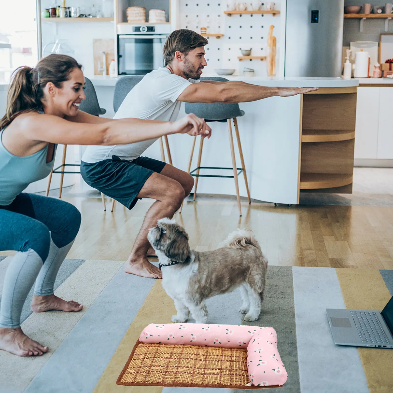 Summer Pet Cooling …
