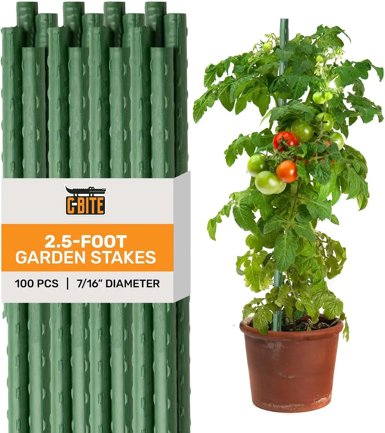 Garden Stakes | 2.5-Foot Plant Support Sticks for Tomatoes, Beans, and Climbing Plants | Use with s to Build Plant Cages, Trelli