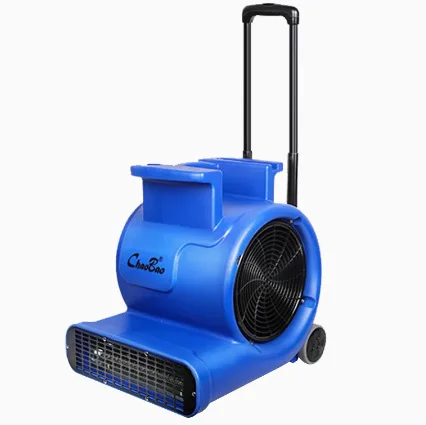 2025Attrezzatura per l'essiccazione dei tappeti da pavimento di buona qualità Portatile a 3 velocità per asciugatrice calda e fredda per tappeti