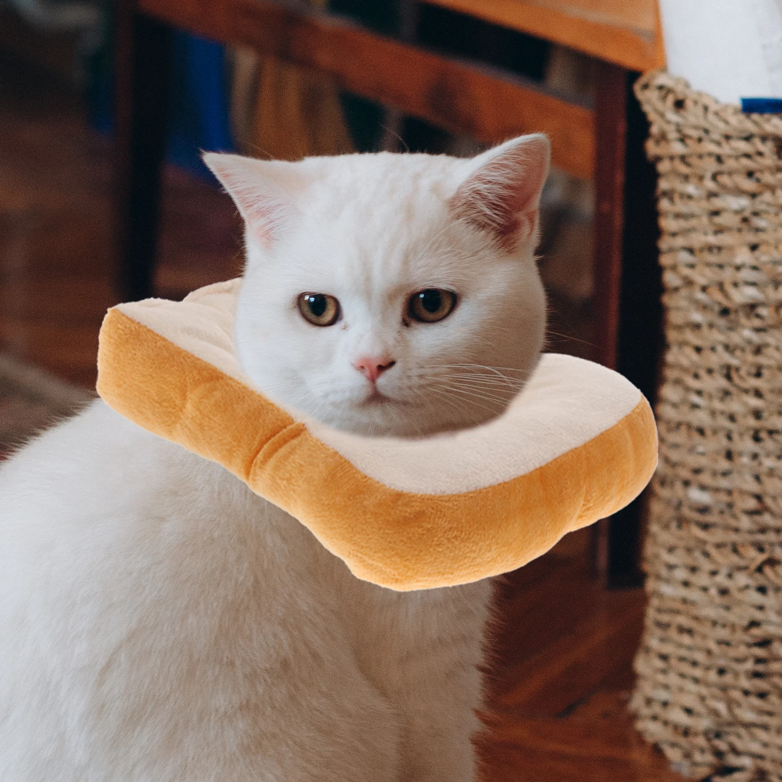 

1Pc Cat Collar Recovery Neck Bladder Shape Anti Chew Scratch