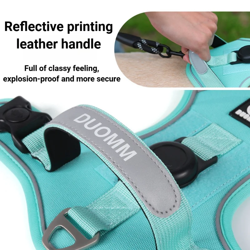Dog Harness Collar Leash Puppy - Pet Supplies Locations recension och pris
