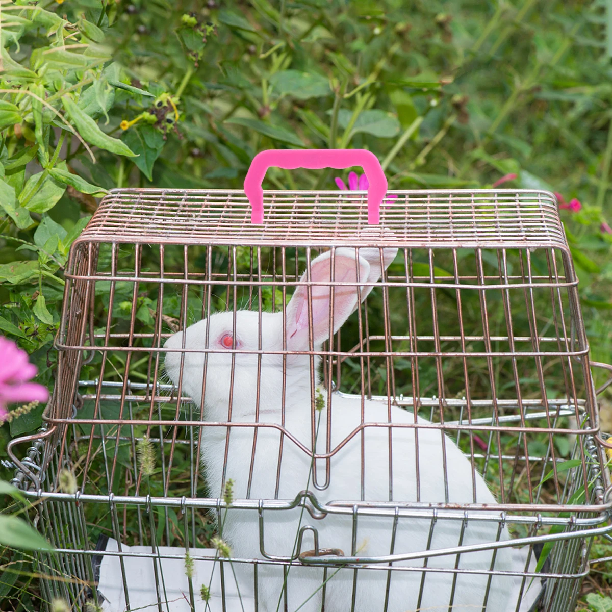 

10pcs Portable Handles Handle Set Detachable Plastic Bird Handle Outdoor Cage Lifting Small Pet Cage Accessory