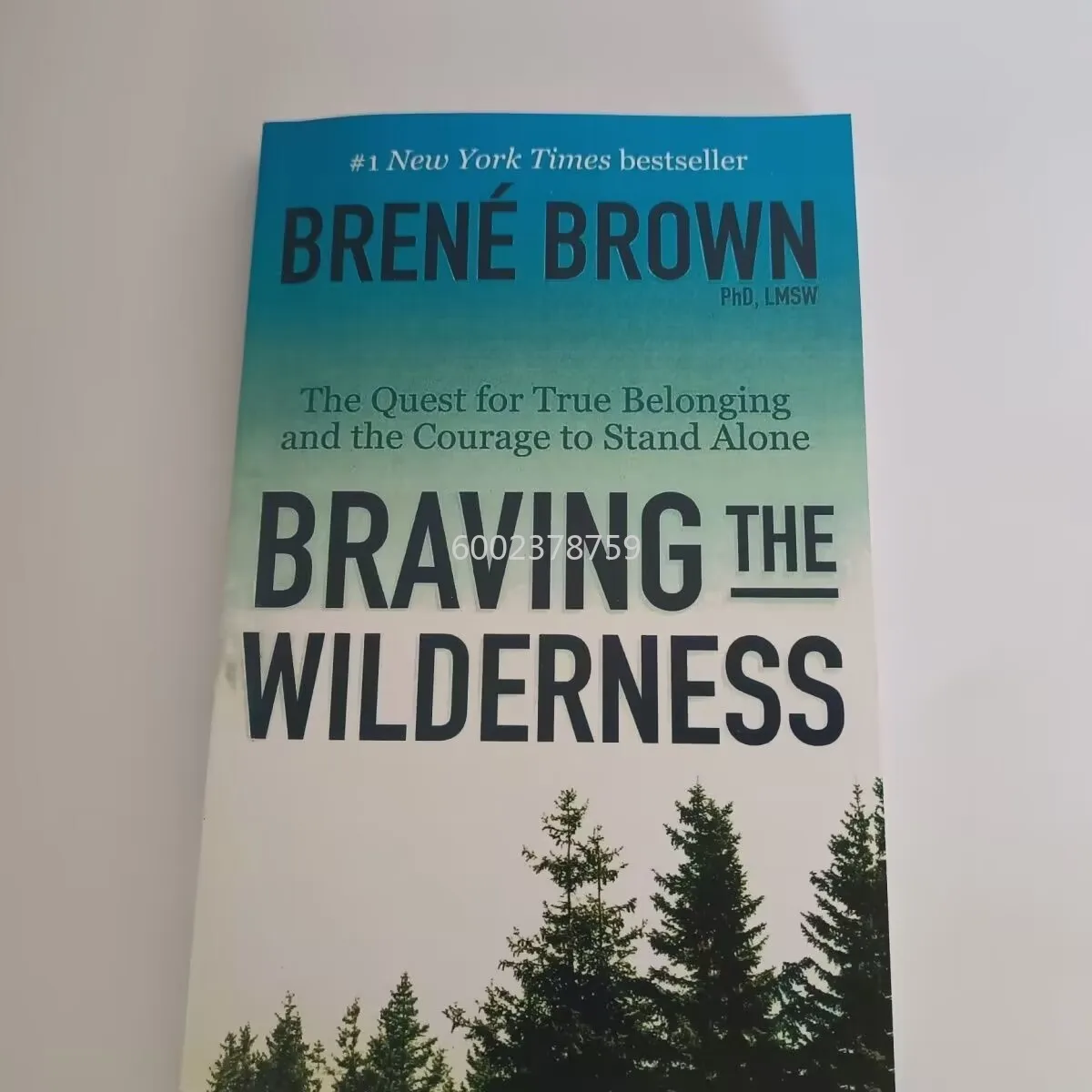 

Сенс верующих, английская версия BravingWilderness Courage
