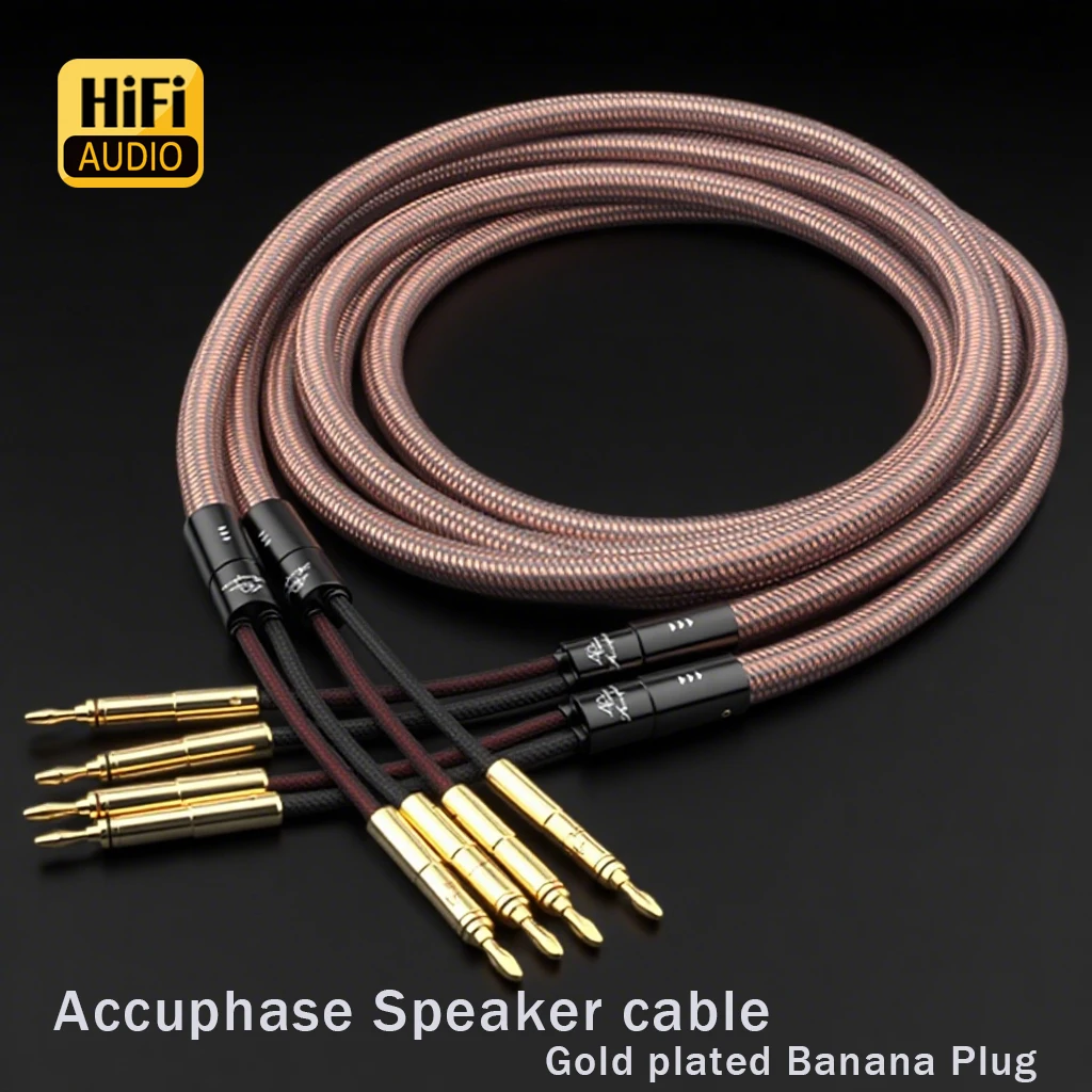 

Пара акустических кабелей Accuphase, 12AWG OCC, серебристый аудиокабель, 2 входа, 2 выхода, штекер типа «банан», высокая чистота, 99,9998%, медь, лихорадка