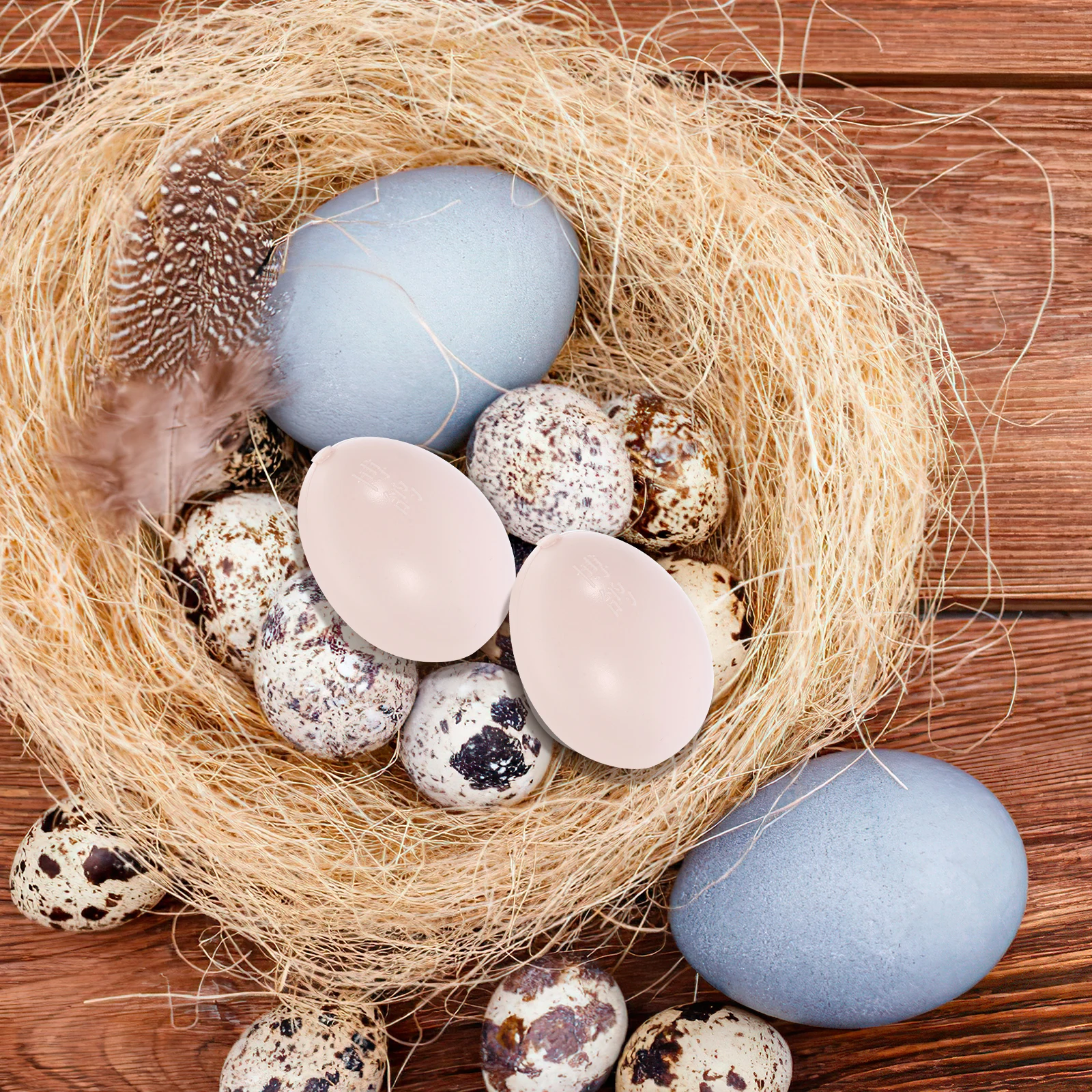 

10 Pcs Water-filled Fake Pigeon Eggs Carrier Funny Where Decor Hatching Creative