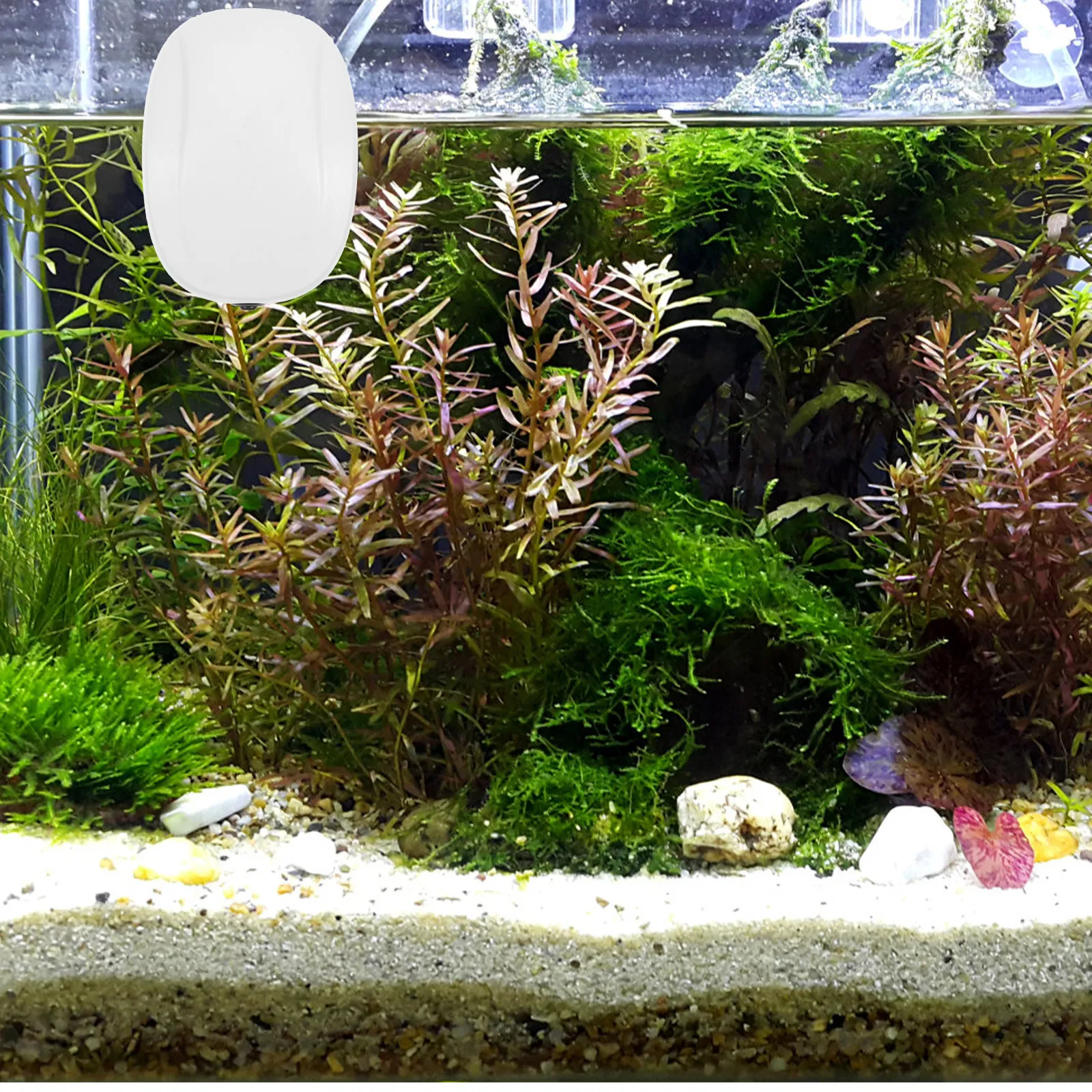 

USB-насос для аквариума, миниатюрный портативный аэратор для рыбок, стабильное равномерное производство пузырьков, высокая эффективность для всех аквариумов