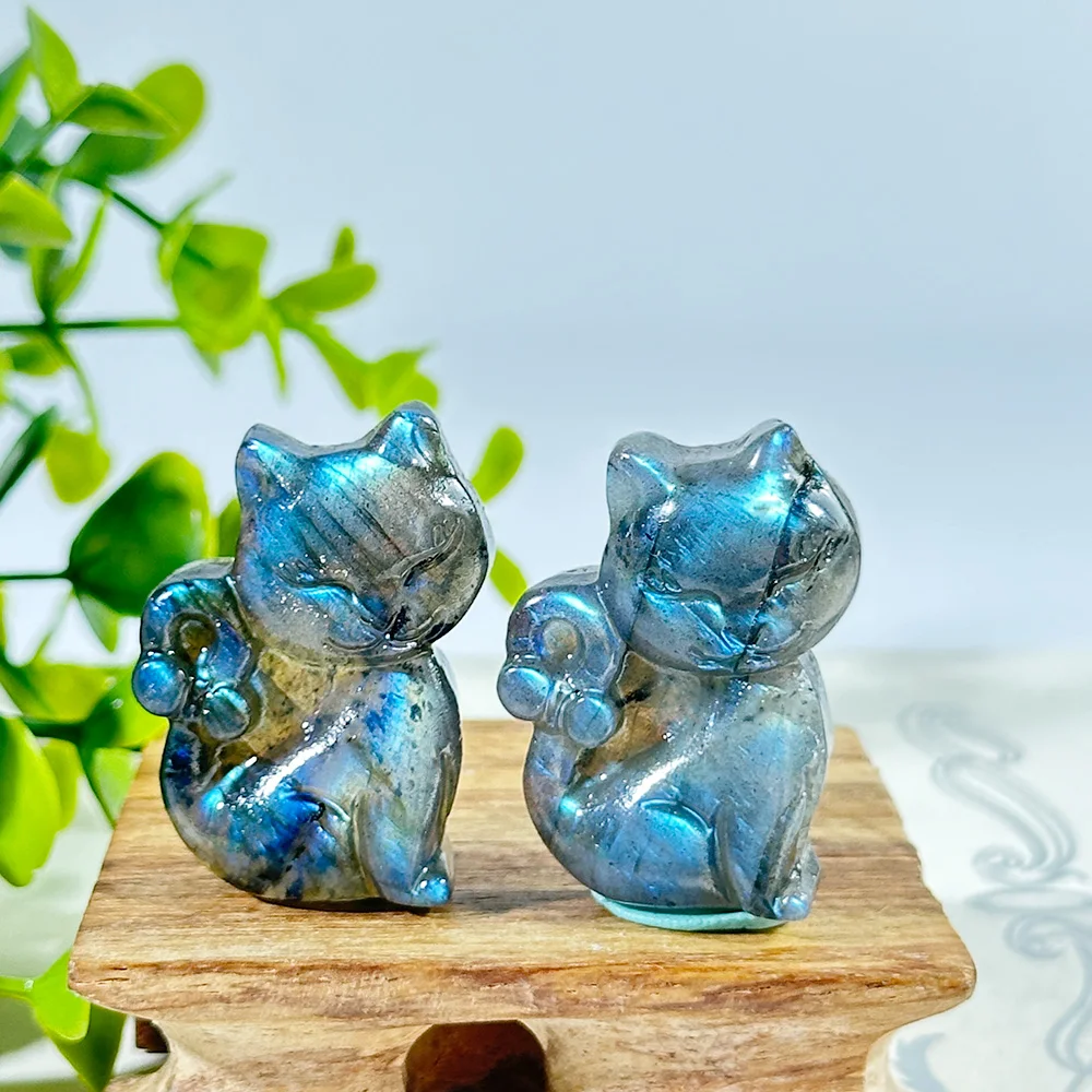 1PC Natural Labradorite Cat Double Sided Reflection Ultrastrong Light,Home Decoration,Crystal Heal,Reiki Heal,Labradorite