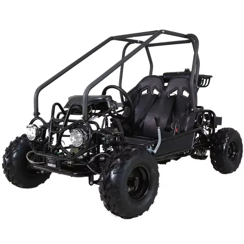 2020 Renli EEC5 500cc 4x4 Racing Dune Buggy 2 Seat Cheap Go Karts