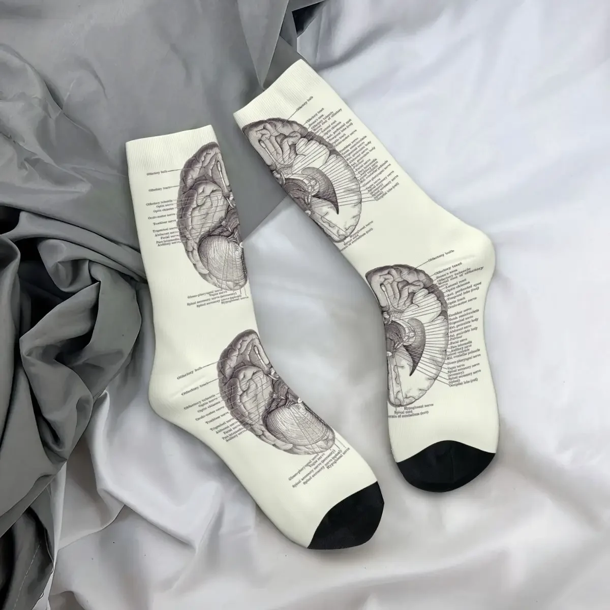 

All Seasons Crew Stockings Brain Nervous System Diagram - Vintage Anatomy Socks Harajuku Long Socks for Valentine's Day Gifts