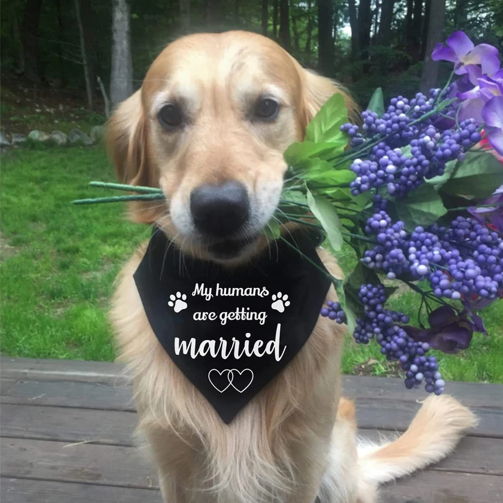 My Humans are Getting Married Dog Bandana Over the Collar for Easy Leash Attached Engagement Dog Bandana Adjustable Dog Collar