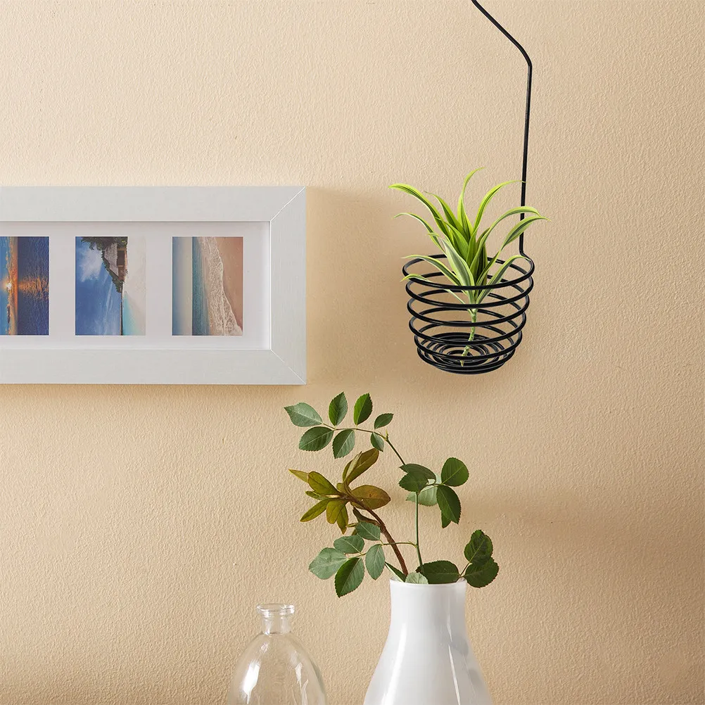 3Pcs Air Plant Hooks Spiral Holders Metal Hanging Rack Display for Indoor Outdoor Wall Tillandsia Plant Holder Decorative