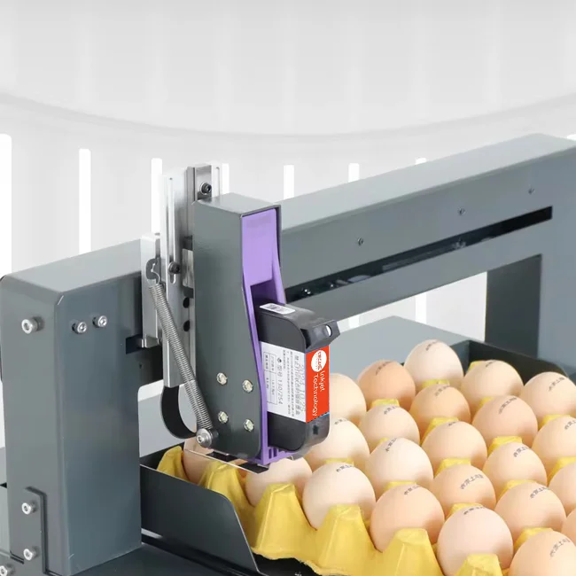 تعمل عملية الطابعة النافثة للحبر البيضية الذكية تدعم آلة الترميز متعددة اللغات