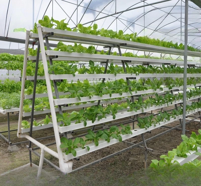 

2025Agricultural Greenhouse Vertical Growing Strawberry Tower Hydroponic Floating Raft Reservoirs Farm Hydroponic Equipment