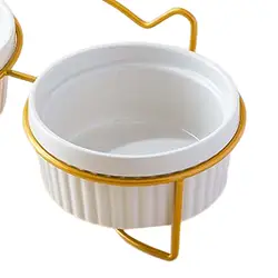 Raised Cat Food Bowl Water Bowl Stable Food Dispenser Anti Slip Tilted Dog Bowl