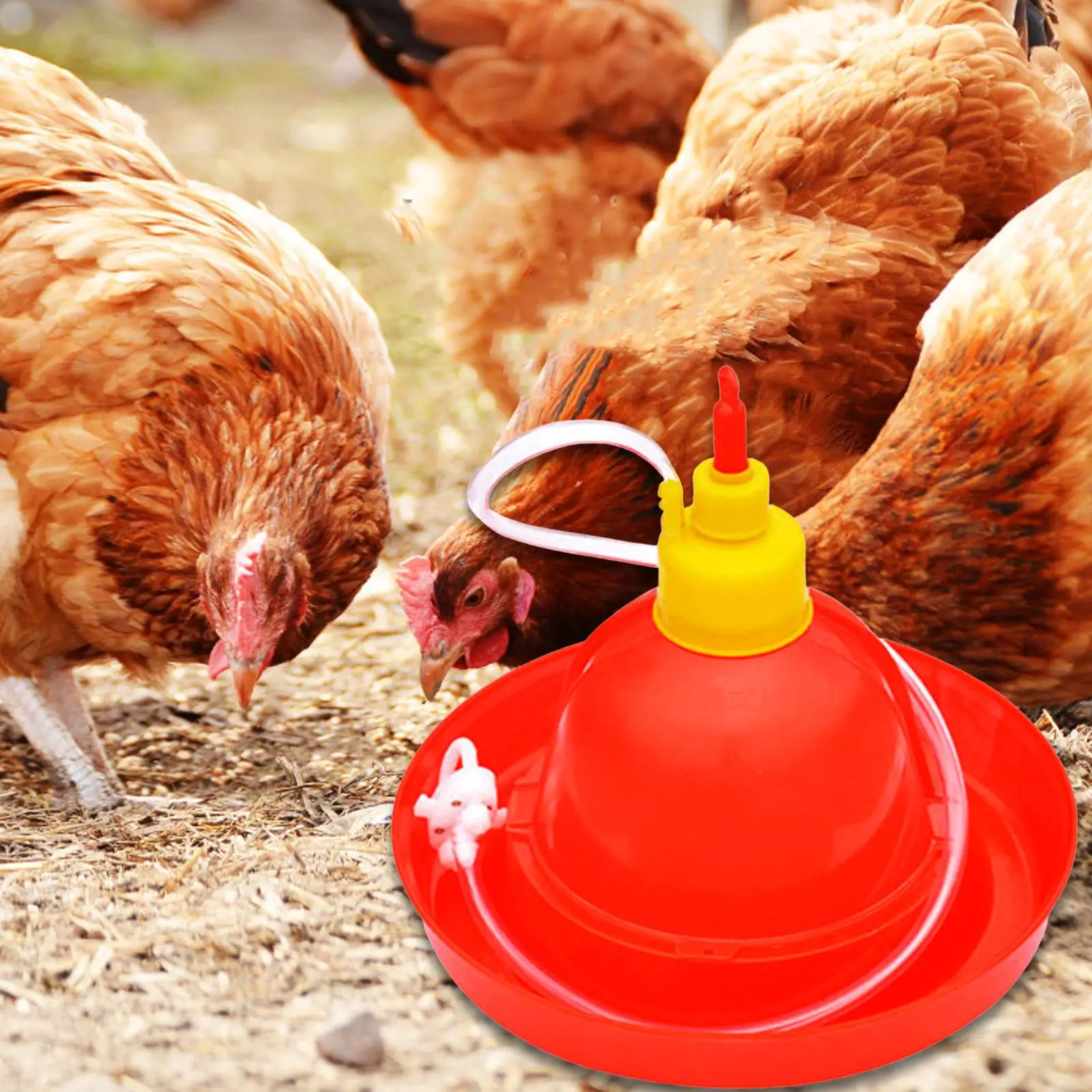 Automatic Poultry Drinker Portable Backyard Accessories Farm Poultry Waterer Water Container for Hen Chicks Quail Ducks Pigeon
