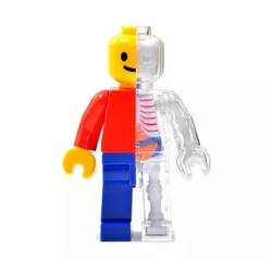 Classic Brick Man 4D Master Puzzle assemblaggio giocattolo prospettiva modello di anatomia ossea giocattoli per bambini