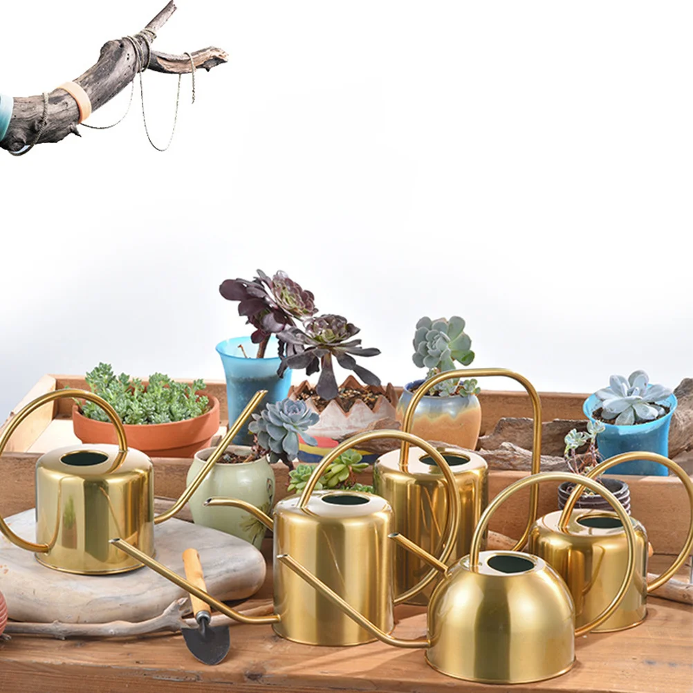 1Pcs Watering Can Stainless Steel Long Spout Premium Solid Construction for Bonsai Succulents Houseplants Gardening Tool Indoor