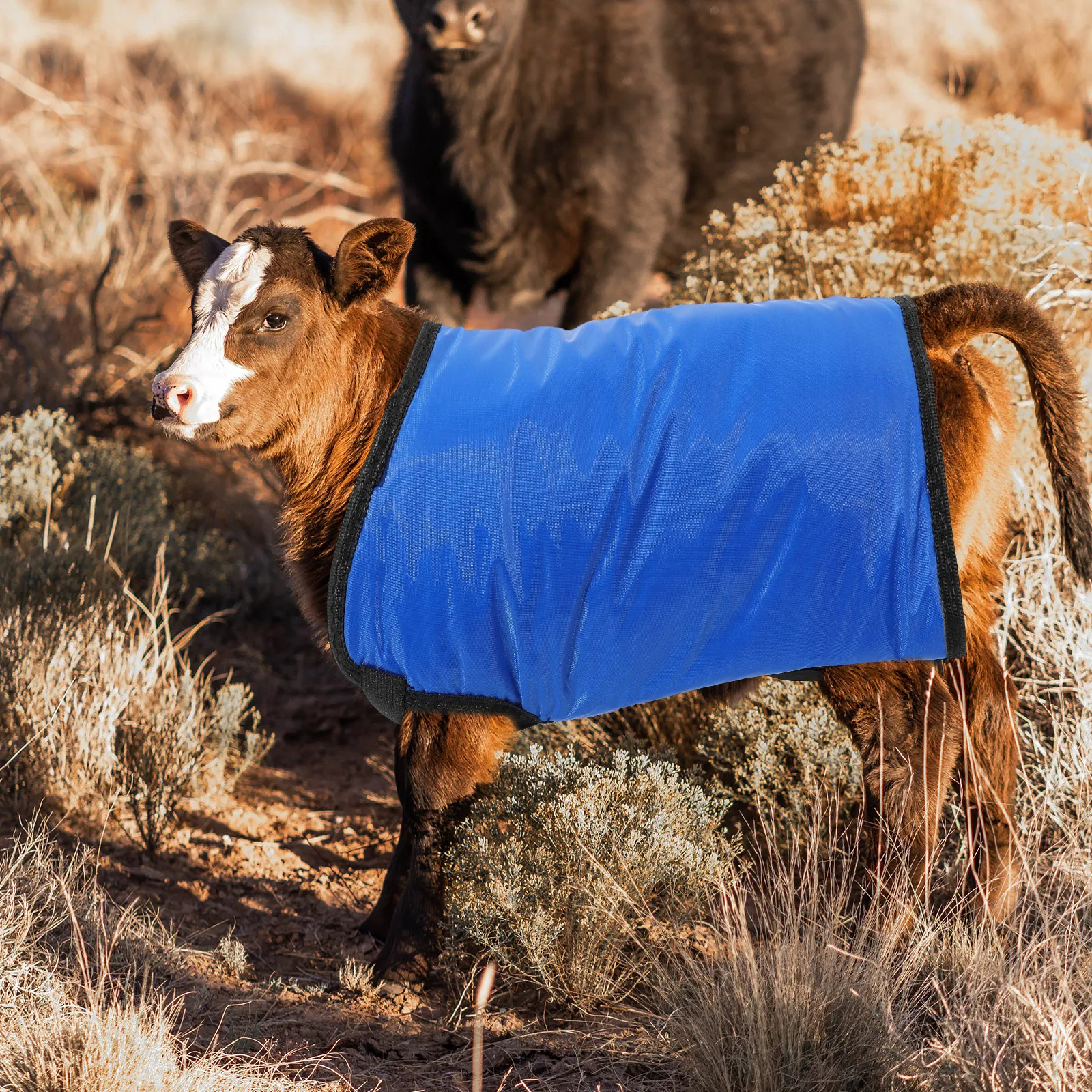 

Thickened Calf Vest Warm Coat Black Reflective Stripe 15 3 Months Durable Lightweight Belly Insulation Pasture Supplies