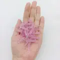 10pcs ST001 FEN