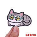 PE17160CT