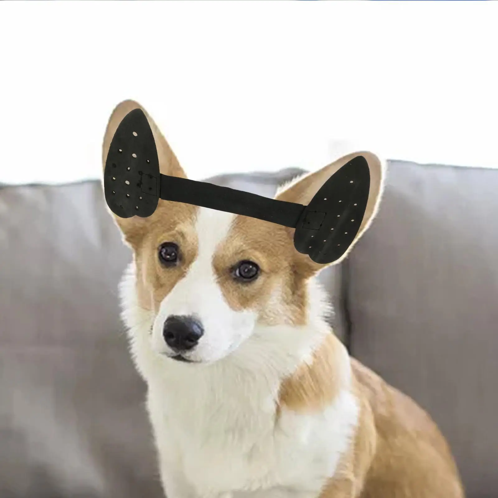 

Dog Ear Care Stand Up Correction Tool Ear Sticker Cleaning Device for Pet Large Breeds Straighten Ears