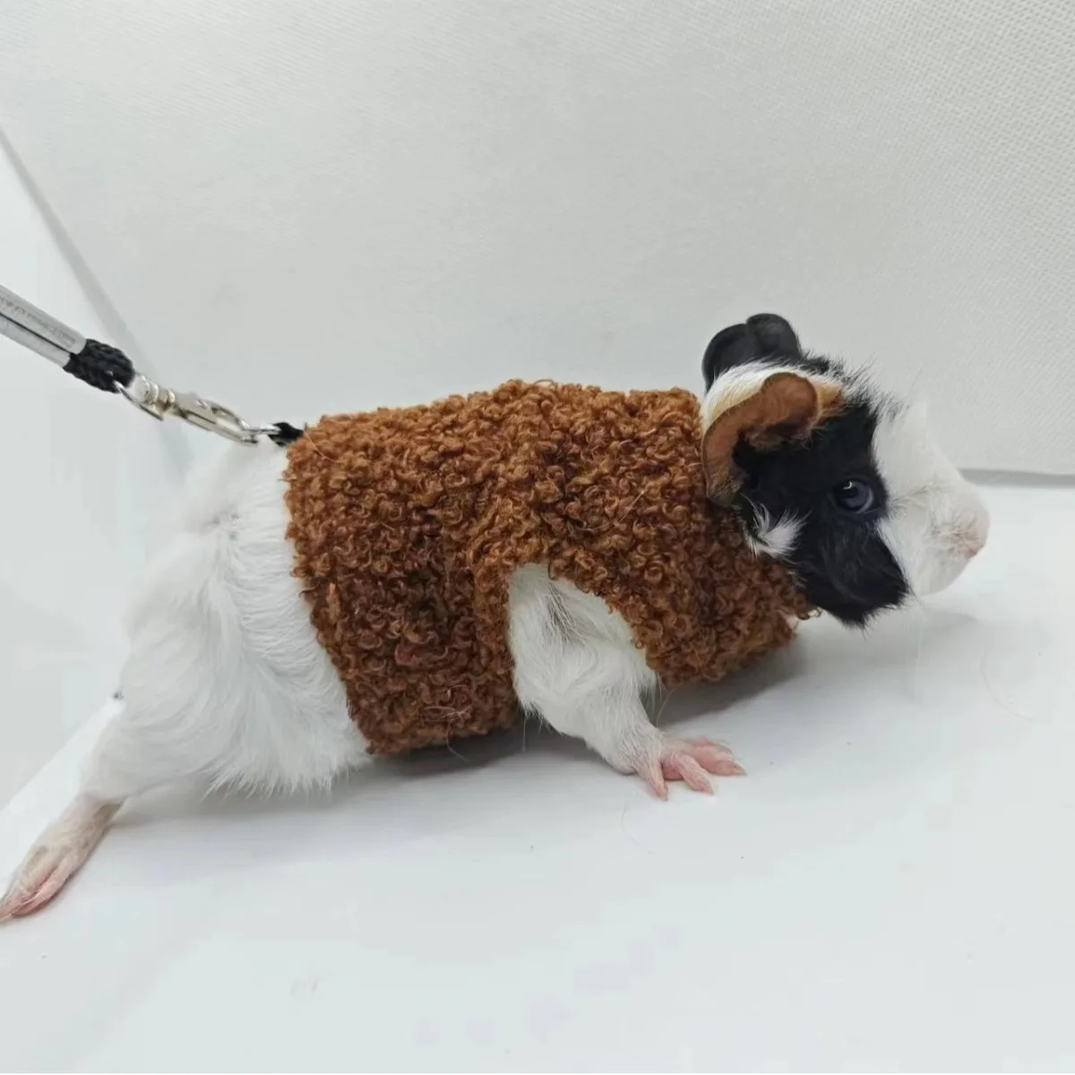 Lizard Clothes Guinea Pig Traction Rope Small Pet Outdoor Costume Harness Hamster Squirrel Vest Clothing Leash Bunny Accessories