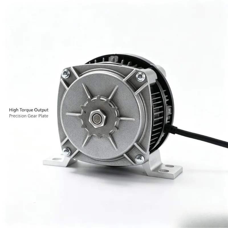 24V 500W Permanent Magnet Brushless DC Motor Electric Drive Motor For Heavy Load Cargo Electric Tricycle Three Wheeler